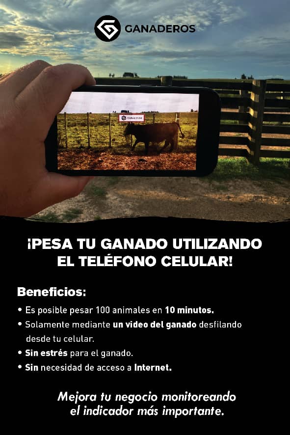 Ganaderos pesa tu ganado utilizando tu celular