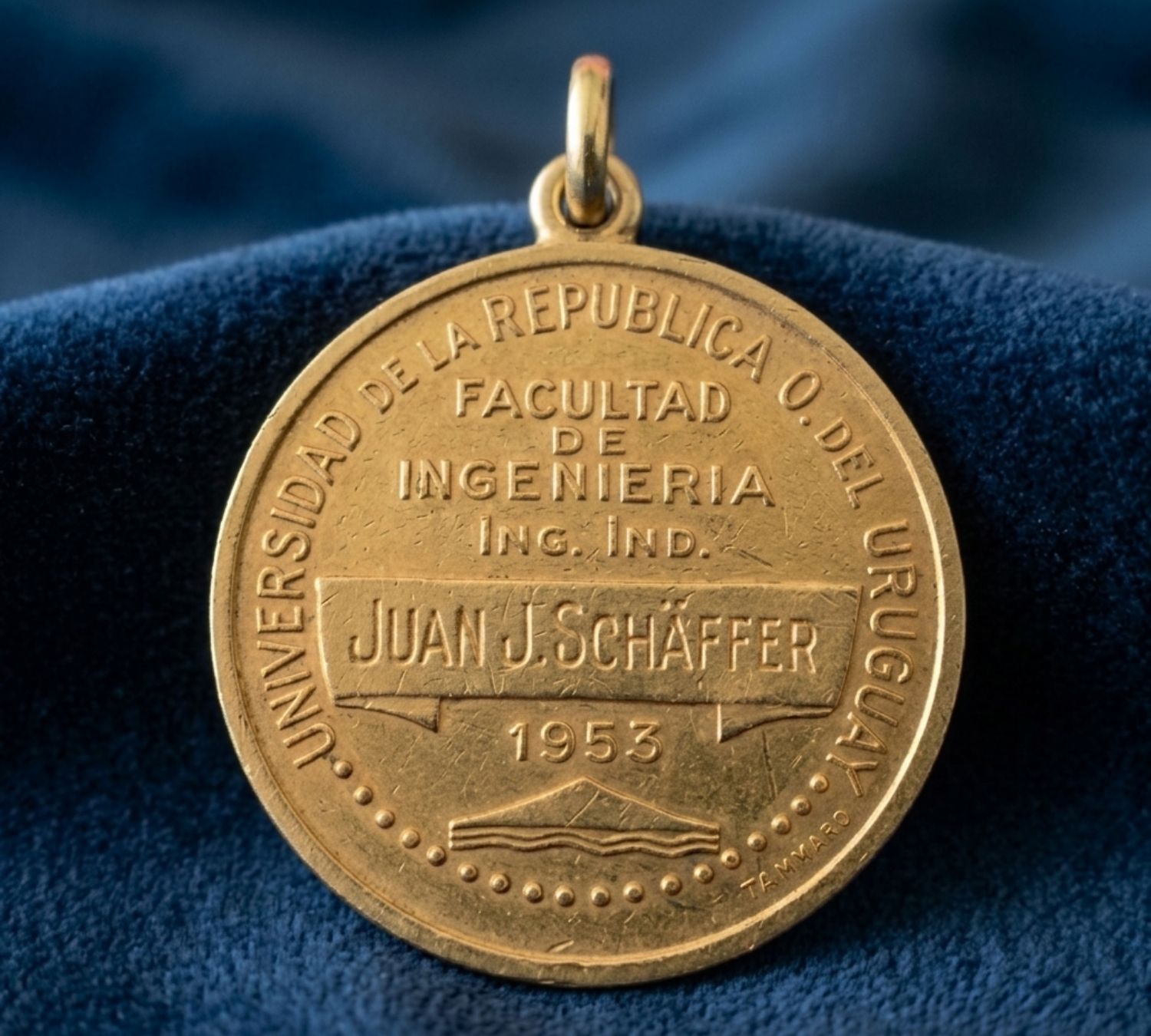 Medalla Schaffer IA