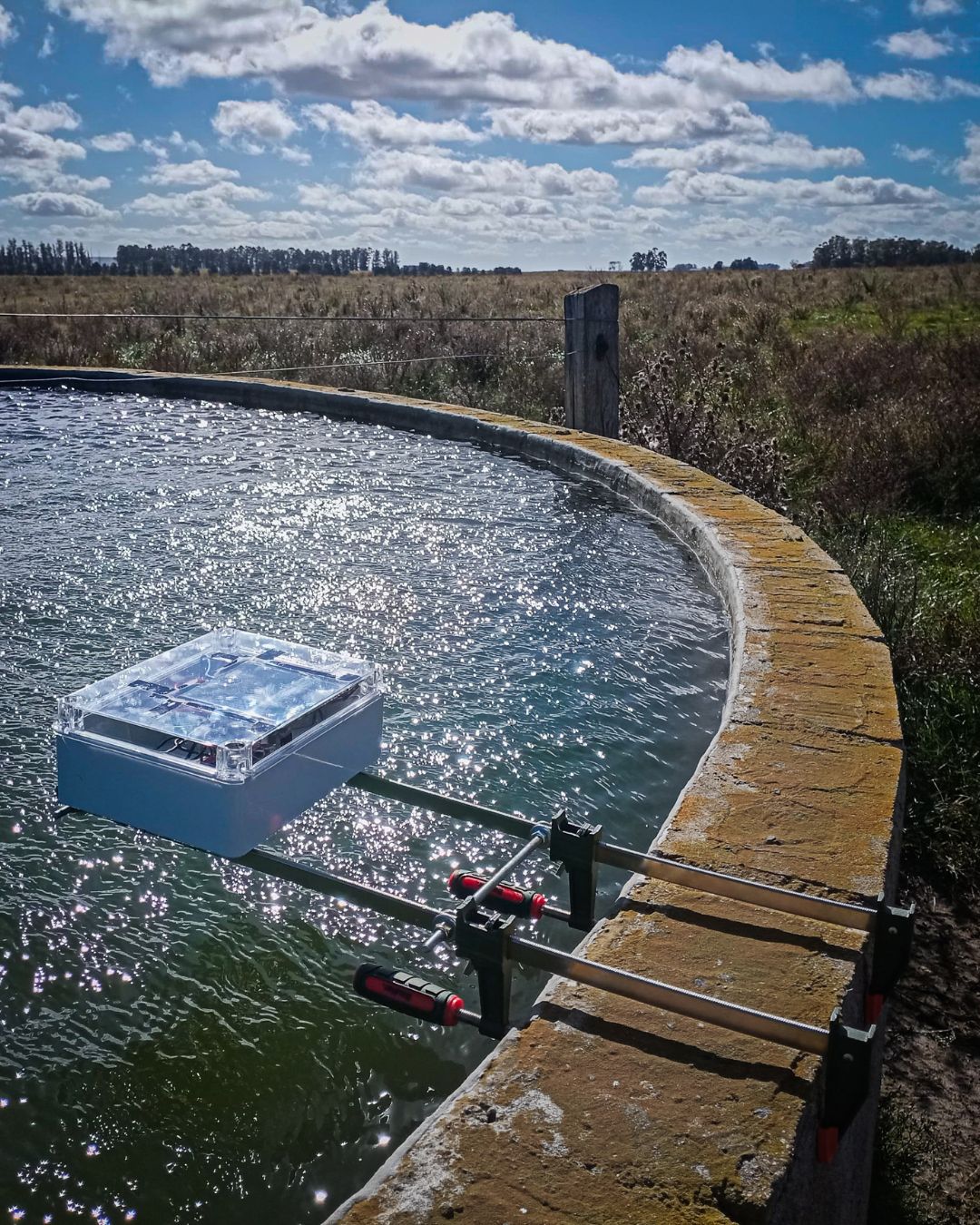 Egeria monitoreo campo