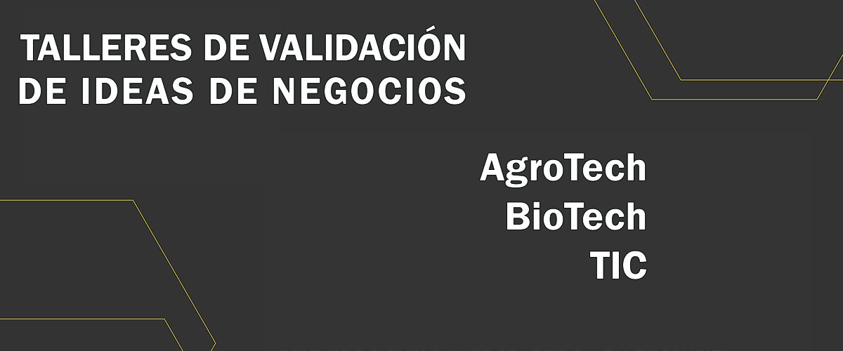 Validar la idea y lanzarse a emprender
