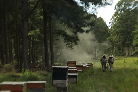 apicultores foto de Apicola Integral